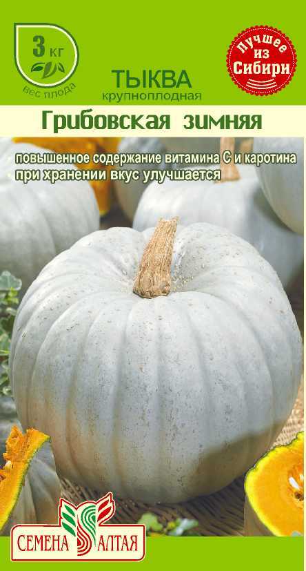 Купить оптом в Ботанике семена Тыква Грибовская зимняя СА бренд Семена Алтая