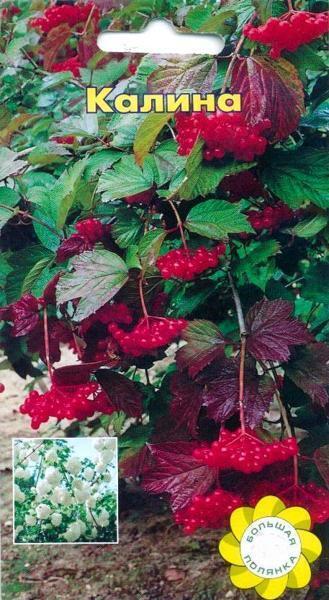 Купить оптом в Ботанике семена Калина УУ бренд Урожай Удачи