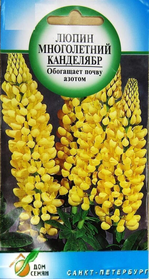 Купить оптом в Ботанике семена Люпин Канделябр ССО бренд Сортсемовощ