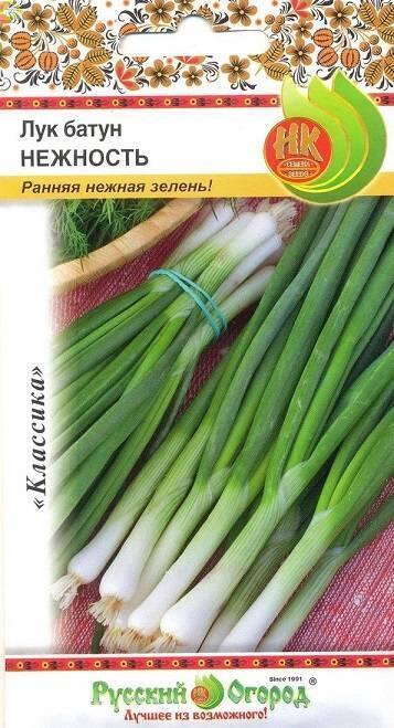Купить оптом в Ботанике семена Лук батун Нежность НК бренд НК