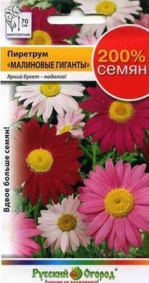 Купить оптом в Ботанике семена Пиретрум Малиновые гиганты НК бренд НК