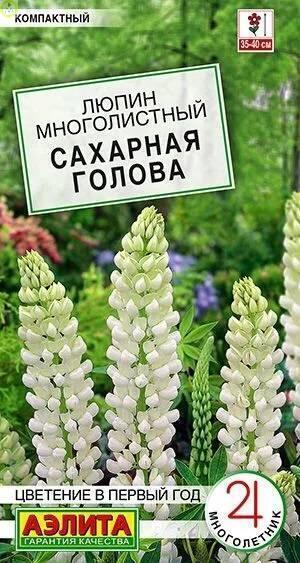 Купить оптом в Ботанике семена Люпин Сахарная голова Аэл бренд Аэлита