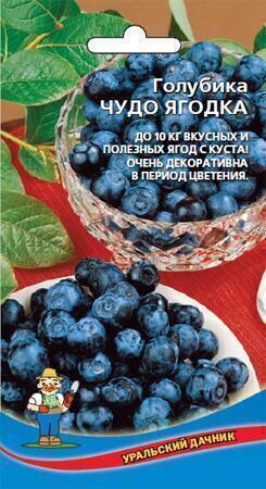 Купить оптом в Ботанике семена Голубика Чудо ягодка УД бренд Уральский дачник
