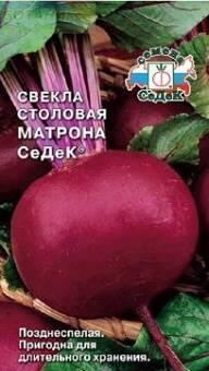Купить оптом в Ботанике семена Свекла Матрона Сед бренд СеДеК