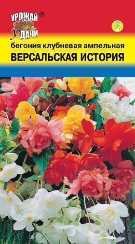 Купить оптом в Ботанике семена Бегония Версальская история УУ бренд Урожай Удачи