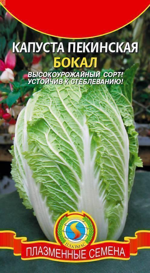 Купить оптом в Ботанике семена Капуста пекинская Бокал Плз бренд Плазмас