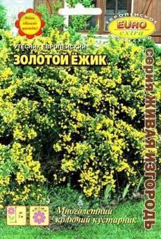 Купить оптом в Ботанике семена Утесник Золотой ежик европейский Аэл бренд Аэлита