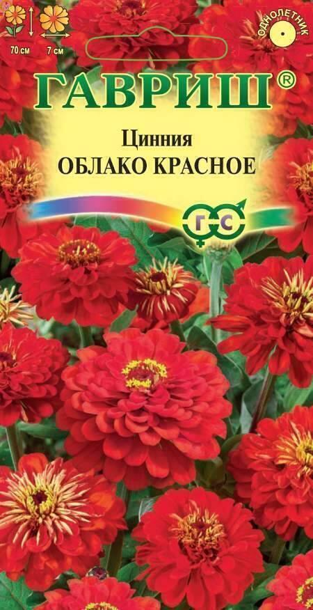 Купить оптом в Ботанике семена Цинния Облако красное Гав бренд Гавриш