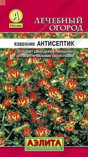 Купить оптом в Ботанике семена Язвенник Антисептик Аэл бренд Аэлита