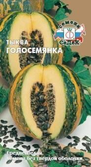 Купить оптом в Ботанике семена Тыква Голосемянка Сед бренд СеДеК