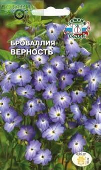 Купить оптом в Ботанике семена Броваллия Верность Сед бренд СеДеК