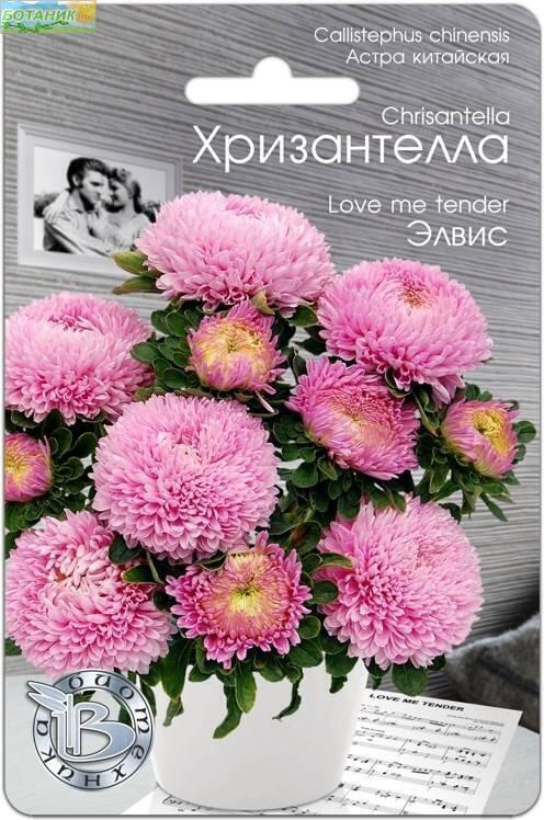 Купить оптом в Ботанике семена Астра китайская Хризантелла Элвис Био бренд Биотехника