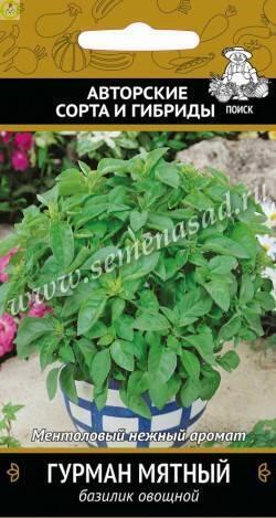 Купить оптом в Ботанике семена Базилик Гурман мятный Поиск бренд Поиск