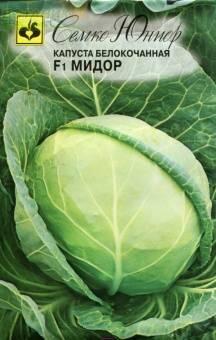 Купить оптом в Ботанике семена Капуста белокочанная Мидор F1 Сем бренд Семко