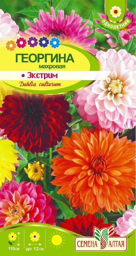 Купить оптом в Ботанике семена Георгина Экстрим СА бренд Семена Алтая