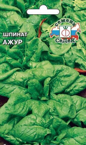 Купить оптом в Ботанике семена Шпинат Ажур Сед бренд СеДеК