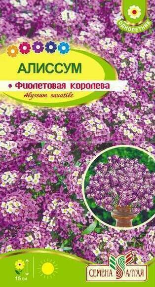 Купить оптом в Ботанике семена Алиссум Фиолетовая королева СА бренд Семена Алтая