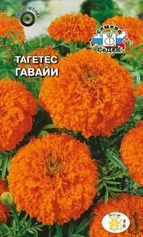 Купить оптом в Ботанике семена Бархатцы Гавайи Сед бренд СеДеК
