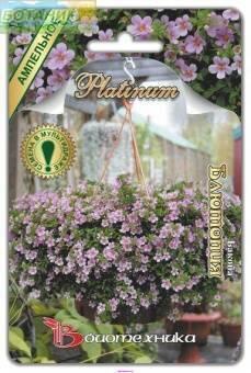 Купить оптом в Ботанике семена Бакопа Блютопия Био бренд Биотехника