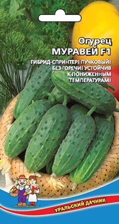 Купить оптом в Ботанике семена Огурец Муравей F1 УД бренд Уральский дачник