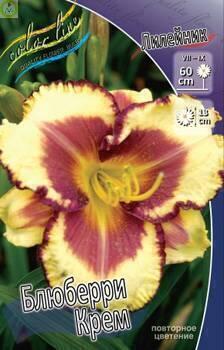 Купить оптом в Ботанике Лилейник Крем 1 шт 