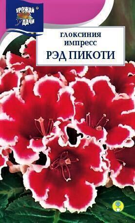 Купить оптом в Ботанике семена Глоксиния Импресс Рэд Пикоти УУ бренд Урожай Удачи