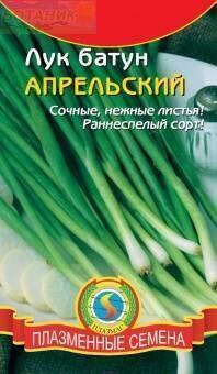 Купить оптом в Ботанике семена Лук батун Апрельский Плз бренд Плазмас