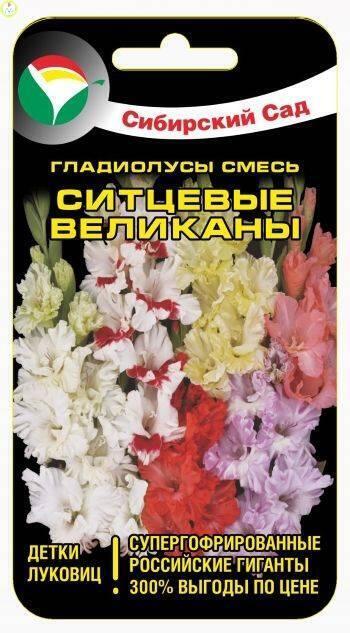 Купить оптом в Ботанике семена Гладиолус Ситцевые великаны СС бренд Сиб.сад