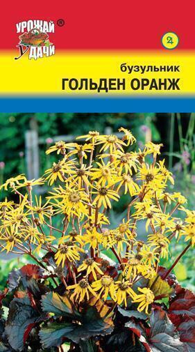 Купить оптом в Ботанике семена Бузульник Гольден оранж УУ бренд Урожай Удачи