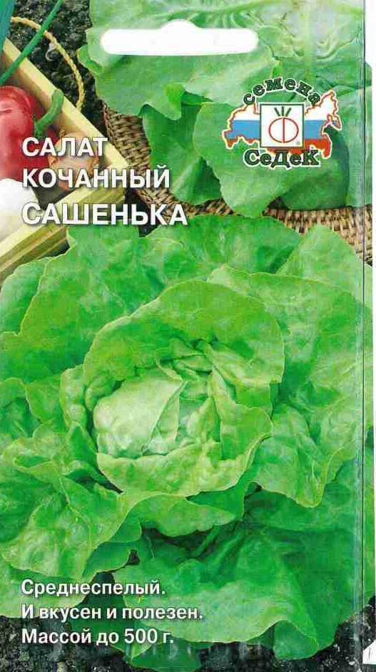 Купить оптом в Ботанике семена Салат Сашенька Сед бренд СеДеК
