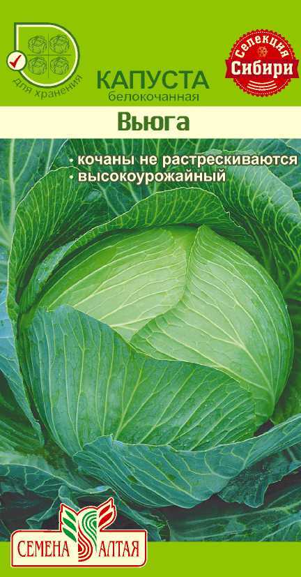 Купить оптом в Ботанике семена Капуста белокочанная Вьюга* СА бренд Семена Алтая