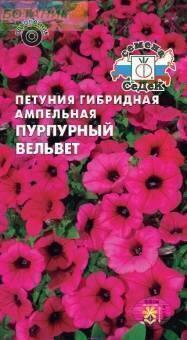 Купить оптом в Ботанике семена Петуния Пурпурный вельвет F1 Сед бренд СеДеК