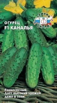 Купить оптом в Ботанике семена Огурец Каналья F1 Сед бренд СеДеК