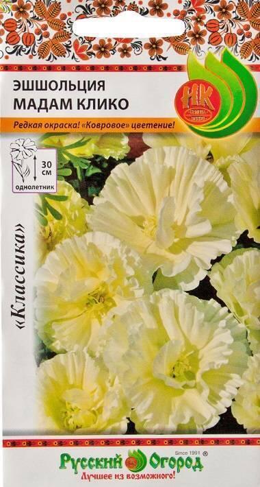 Купить оптом в Ботанике семена Эшшольция Мадам Клико НК бренд НК