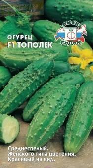 Купить оптом в Ботанике семена Огурец Тополек F1 Сед бренд СеДеК