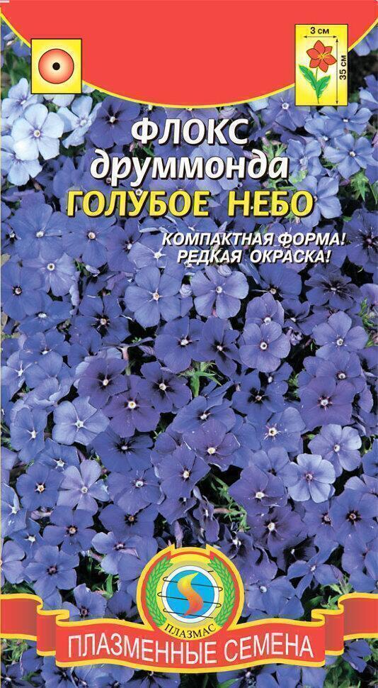 Купить оптом в Ботанике семена Флокс Голубое небо Плз бренд Плазмас