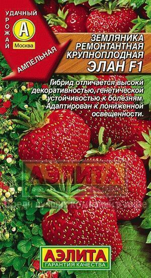 Купить оптом в Ботанике семена Земляника Элан F1 Аэл бренд Аэлита