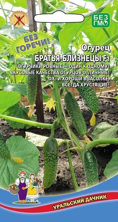 Купить оптом в Ботанике семена Огурец Братья близнецы F1 УД бренд Уральский дачник