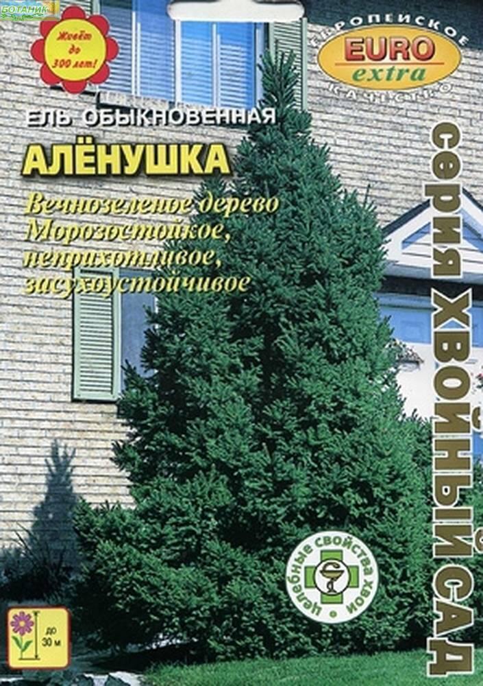 Купить оптом в Ботанике семена Ель Аленушка БП Аэл бренд Аэлита