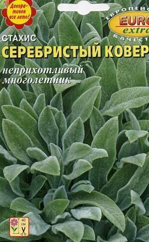 Купить оптом в Ботанике семена Стахис Серебристый ковер Аэл бренд Аэлита