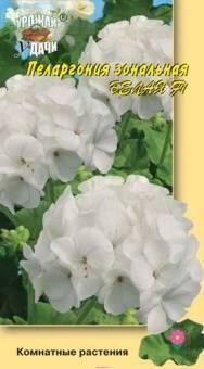 Купить оптом в Ботанике семена Пеларгония Белая F1 зональная УУ бренд Урожай Удачи