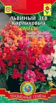 Купить оптом в Ботанике семена Львиный зев Карликовый смесь Плз бренд Плазмас