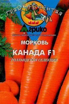 Купить оптом в Ботанике семена Морковь Канада F1 (ГЛ) 300 шт Агр бренд Агрико