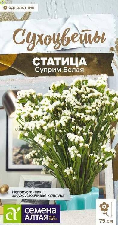 Купить оптом в Ботанике семена Статица Суприм Белая СА бренд Семена Алтая