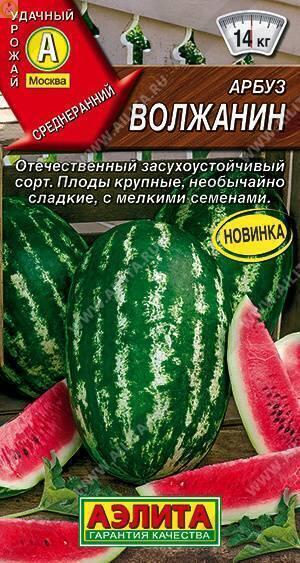 Купить оптом в Ботанике семена Арбуз Волжанин Аэл бренд Аэлита