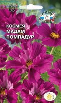 Купить оптом в Ботанике семена Космея Мадам Помпадур Сед бренд СеДеК