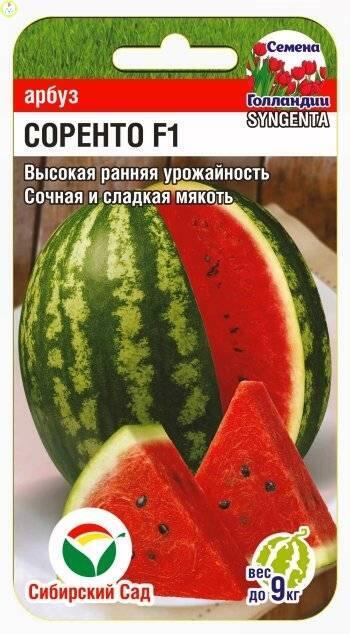 Купить оптом в Ботанике семена Арбуз Соренто F1 СС бренд Сиб.сад