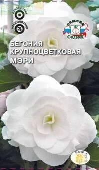 Купить оптом в Ботанике семена Бегония Мэри крупноцветковая Сед бренд СеДеК