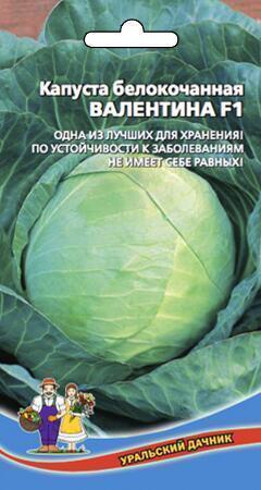 Купить оптом в Ботанике семена Капуста белокочанная Валентина F1 УД бренд Уральский дачник