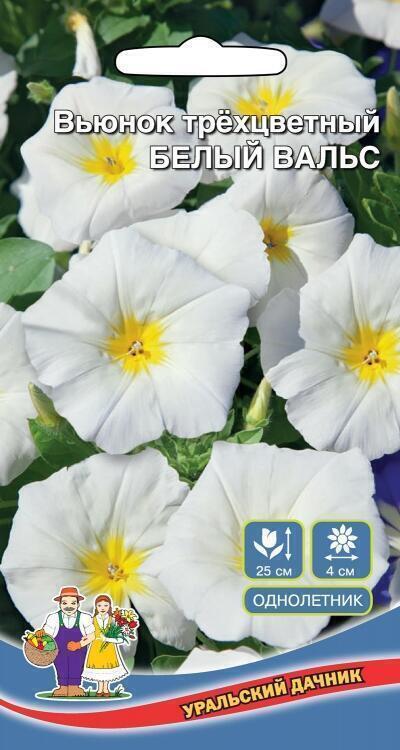 Купить оптом в Ботанике семена Вьюнок Белый вальс УД бренд Уральский дачник